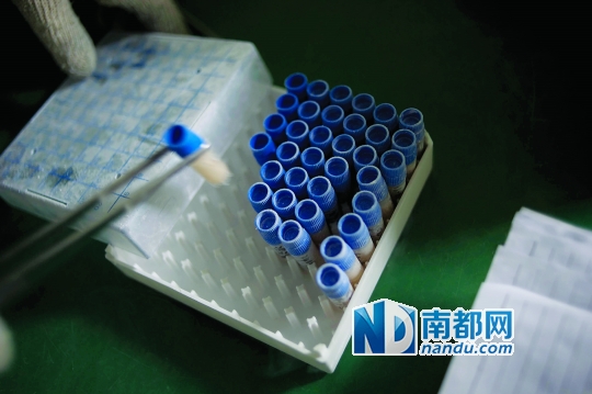 <p>    當(dāng)患者實(shí)施治療時(shí)，會(huì)提前14天通知實(shí)驗(yàn)室，實(shí)驗(yàn)員取出液氮罐里儲(chǔ)存的免疫細(xì)胞樣本進(jìn)行培養(yǎng)。</p>