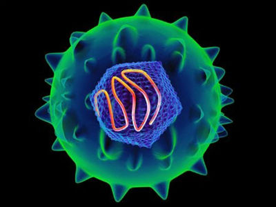盤點：2014年生命科學(xué)十大新進展