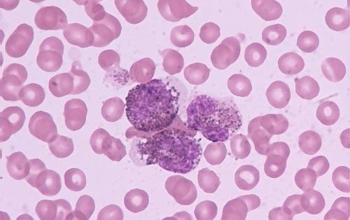 2014你不能錯(cuò)過(guò)的干細(xì)胞論文！  