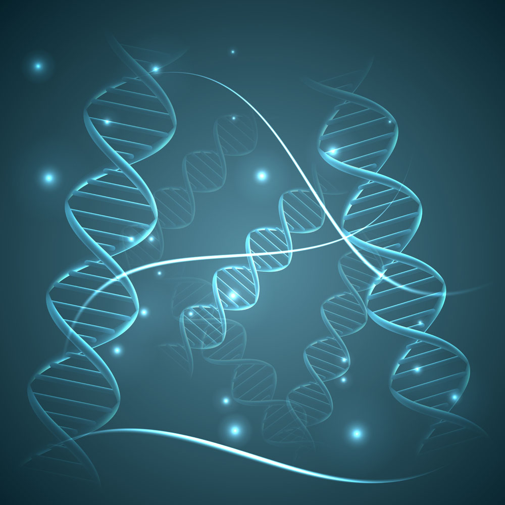 DNA研究向3D時(shí)代邁進(jìn)