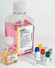 LONZA內(nèi)皮細胞、支氣管上皮細胞生長培養(yǎng)基